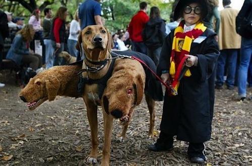 Disfraces de Halloween para niños y niñas