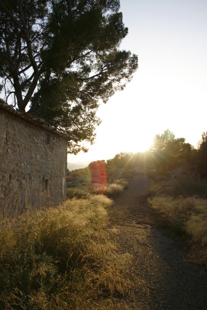 UN DÍA EN EL CAMPO