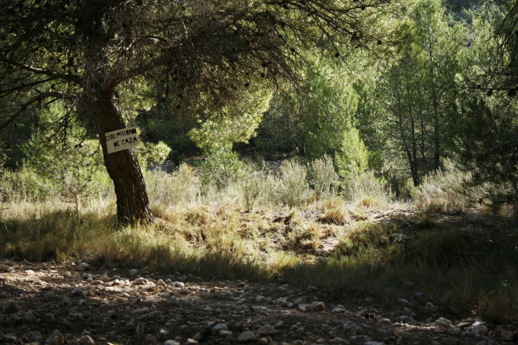 UN DÍA EN EL CAMPO