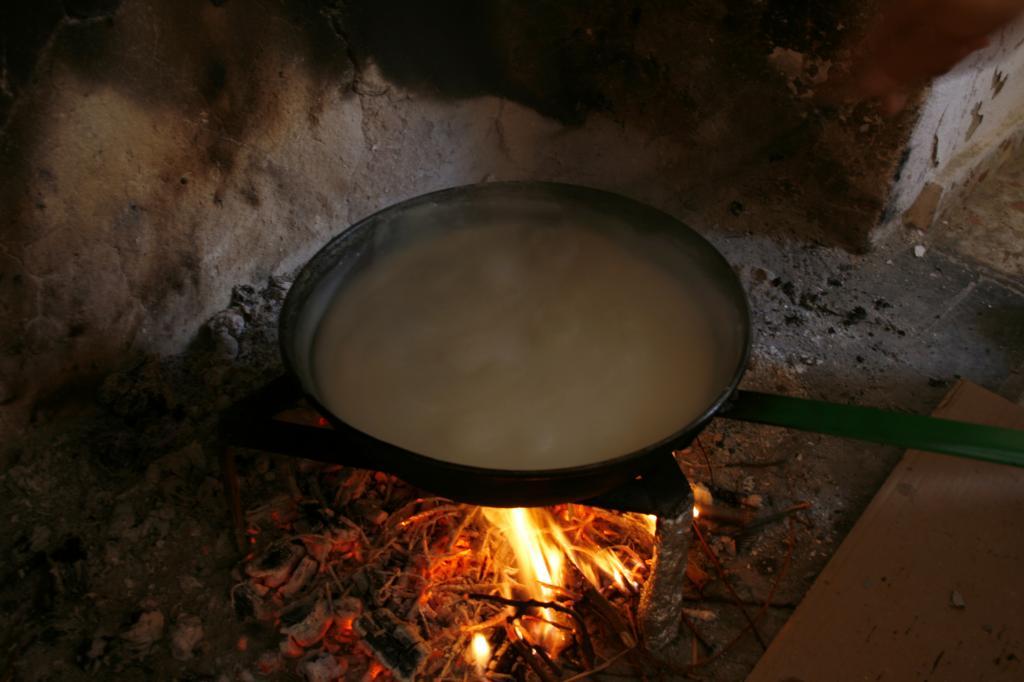 UN DÍA EN EL CAMPO