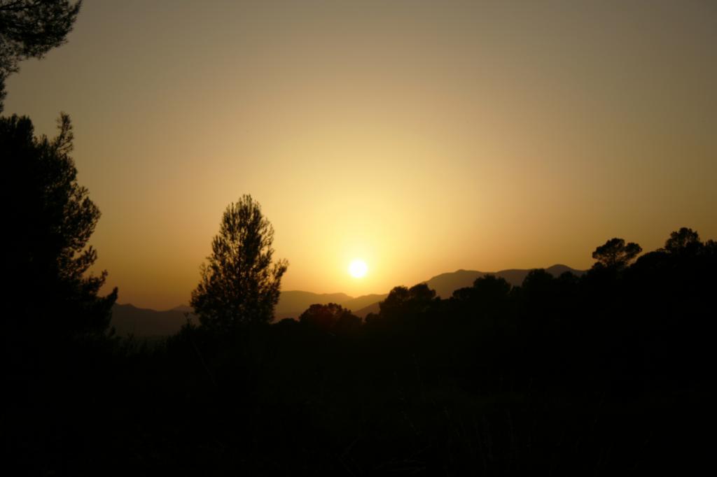 UN DÍA EN EL CAMPO