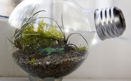 HOMENAJE a la BOMBILLA TRADICIONAL Reciclar bombilla recycle light bulb