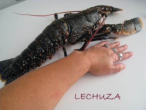 Arroz rape bogavante sorteo mariscada