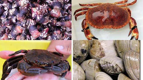 Arroz rape bogavante sorteo mariscada