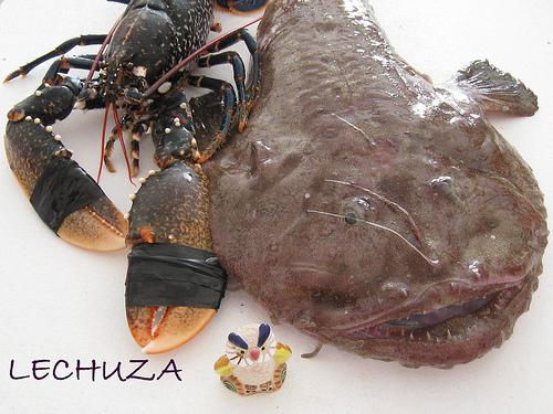 Arroz rape bogavante sorteo mariscada