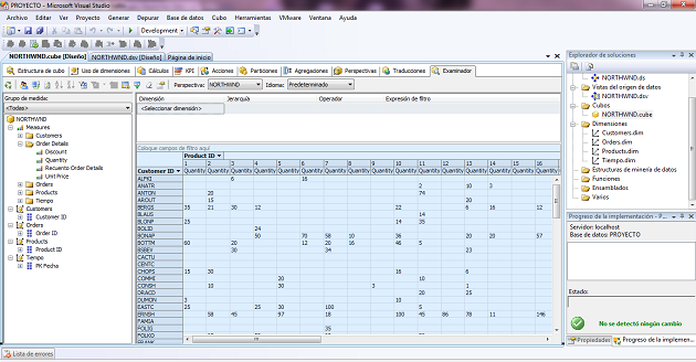 Vista de datos en el Cubo Olap