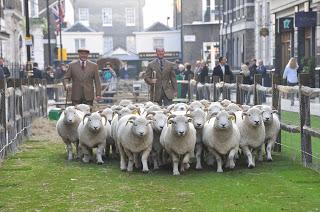 La lana invade Madrid en la Wool Week | Wool invades Madrid for the Wool Week