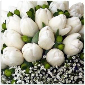 ¿Por qué no casarse en junio, julio o agosto? Parte 2: las flores de invierno ¿Por qué no casarse en junio, julio o agosto? Parte 2: las flores de invierno