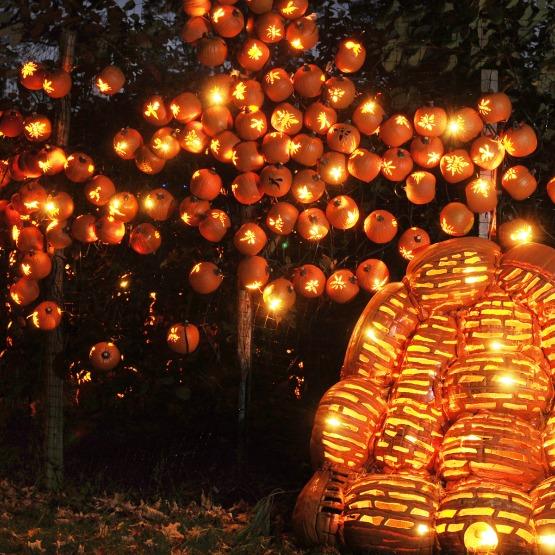 Los mejores planes para Halloween beehive_with_bees