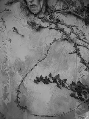 campo(s)antos campo(s)antos