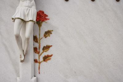 campo(s)antos campo(s)antos