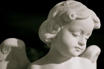 campo(s)antos campo(s)antos