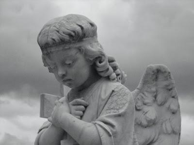 campo(s)antos campo(s)antos