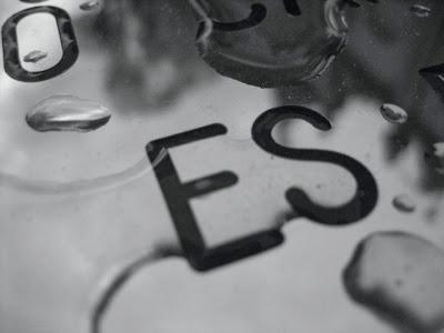 campo(s)antos campo(s)antos