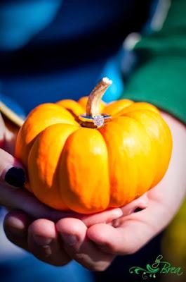 Propiedades de la calabaza, un tesoro de otoño Propiedades de la calabaza, un tesoro de otoño