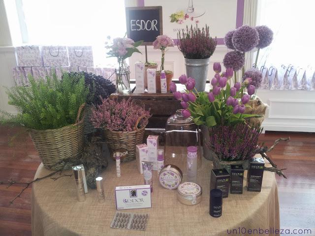 Gran Reserva, la colección del 25 aniversario de ESDOR Gran Reserva, la colección del 25 aniversario de ESDOR