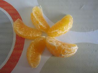 CAMPO FILÓSOFO CAMPO FILÓSOFO