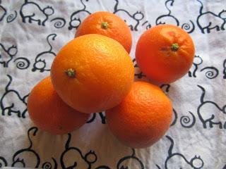 CAMPO FILÓSOFO CAMPO FILÓSOFO