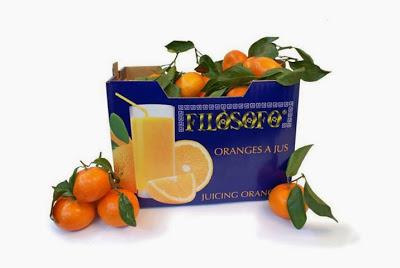 CAMPO FILÓSOFO CAMPO FILÓSOFO