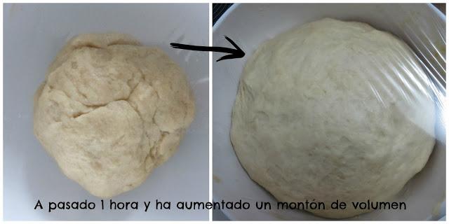 primera fermentación o levado Bollitos de leche
