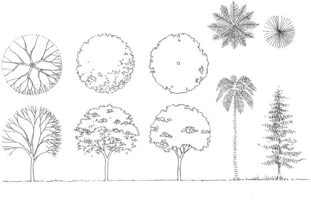 how-to-draw-drawing_architecture_hand_sketch_trees