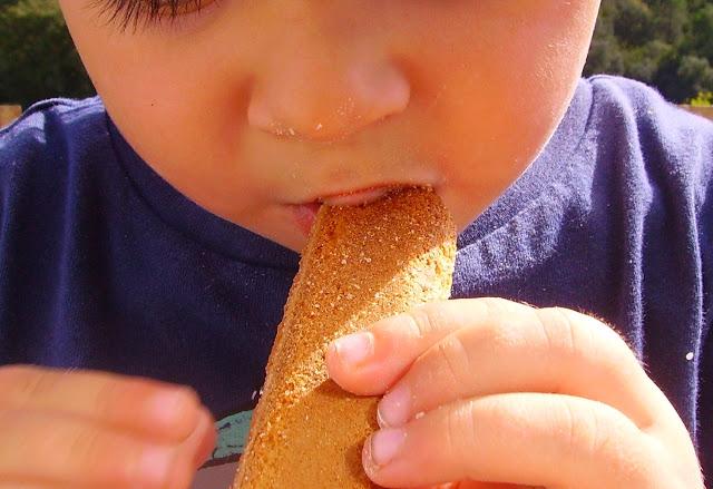 Galletas Coral !!!! Galletas Coral !!!!