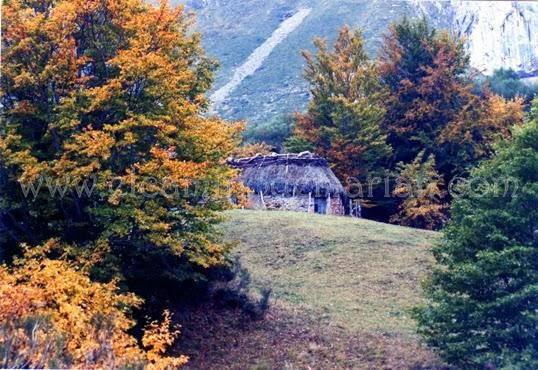 Recorriendo los senderos de España durante el otoño