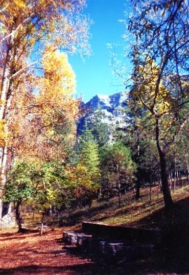 Recorriendo los senderos de España durante el otoño