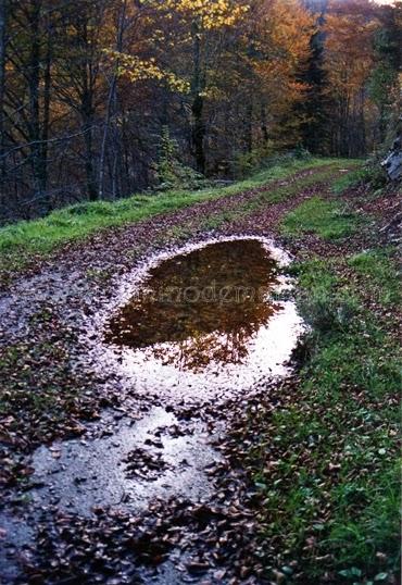 Recorriendo los senderos de España durante el otoño