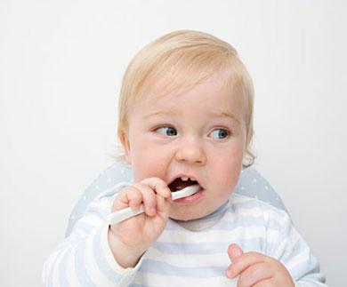 DIENTES ALIMENTACION dientes alimentacion: