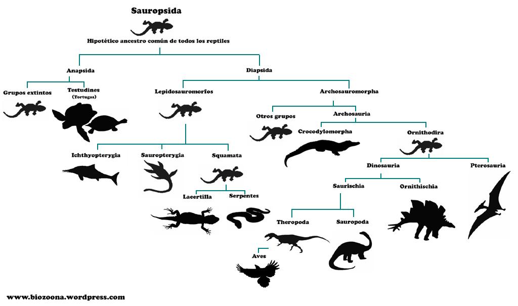 El Origen de los dinosaurios El Origen de los dinosaurios