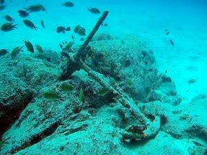 Nudismo y buceo en las playas tinerfeñas Nudismo y buceo en las playas tinerfeñas