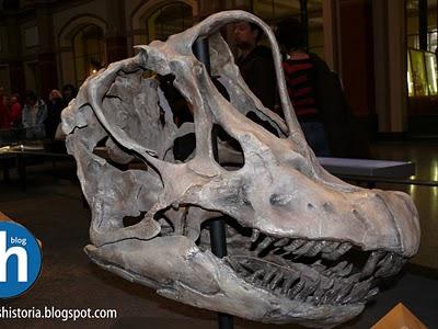 SC 134: Zaha Estiliza un Cráneo de Brachiosuarus con una Red Arácnida SC 134: Zaha Estiliza un Cráneo de Brachiosuarus con una Red Arácnida