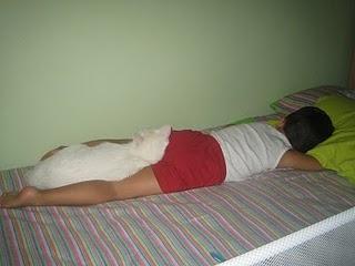 Una imagen vale más que mil palabras Una imagen vale más que mil palabras