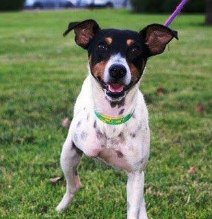 Chispa, aviso, positiva en alegria, corres riesgo de contagio :) Chispa, aviso, positiva en alegria, corres riesgo de contagio :)