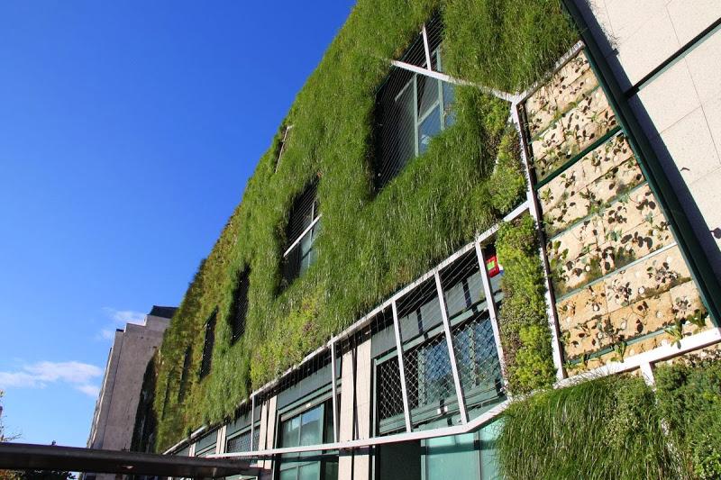 Jardín vertical del Palacio de Congresos de Vitoria-Gasteiz