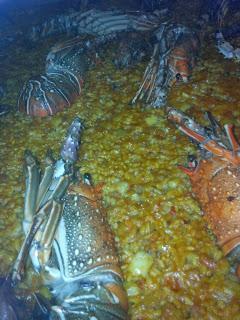 Paella de langosta - Spiny lobster rice valencia style -