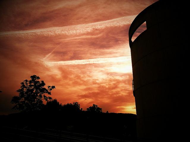 Androidografia Barakaldo CCCLXV. LLamalo MAGIA Androidografia Barakaldo 1561