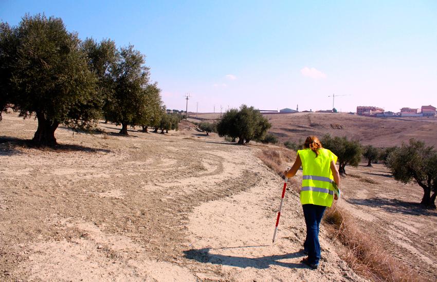 Valdegrande: un nuevo yacimiento de la Edad del Bronce en Toledo prospeccion-arqueologica-toledo