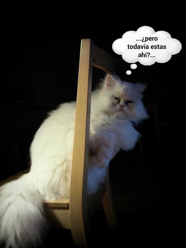 Estamos tan Agustito XV. Posando II estamos tan agustito