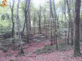La Garrotxa - Rutas de senderismo La Garrotxa - Rutas de senderismo