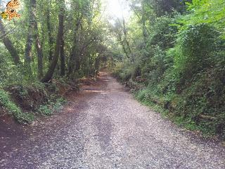 La Garrotxa - Rutas de senderismo La Garrotxa - Rutas de senderismo