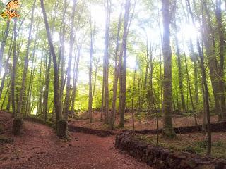 La Garrotxa - Rutas de senderismo La Garrotxa - Rutas de senderismo