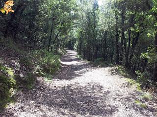 La Garrotxa - Rutas de senderismo La Garrotxa - Rutas de senderismo