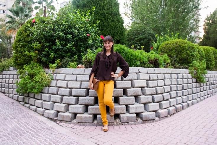 Mustard and Chocolate Mustard and Chocolate