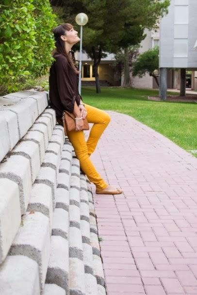 Mustard and Chocolate Mustard and Chocolate