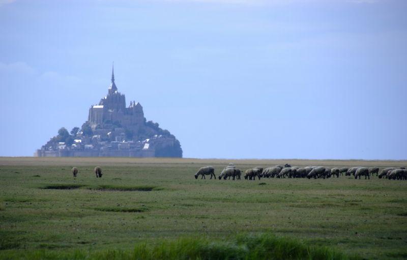 Castillo Mont Saint Michel4