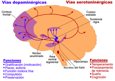 Sabes cual es la principal causa del mal de parkinson????