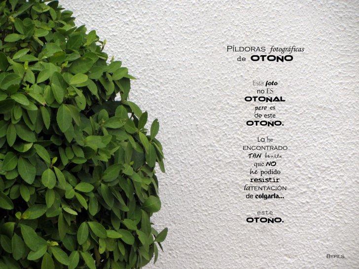 Píldoras (de Otoño) Nopareceotoño