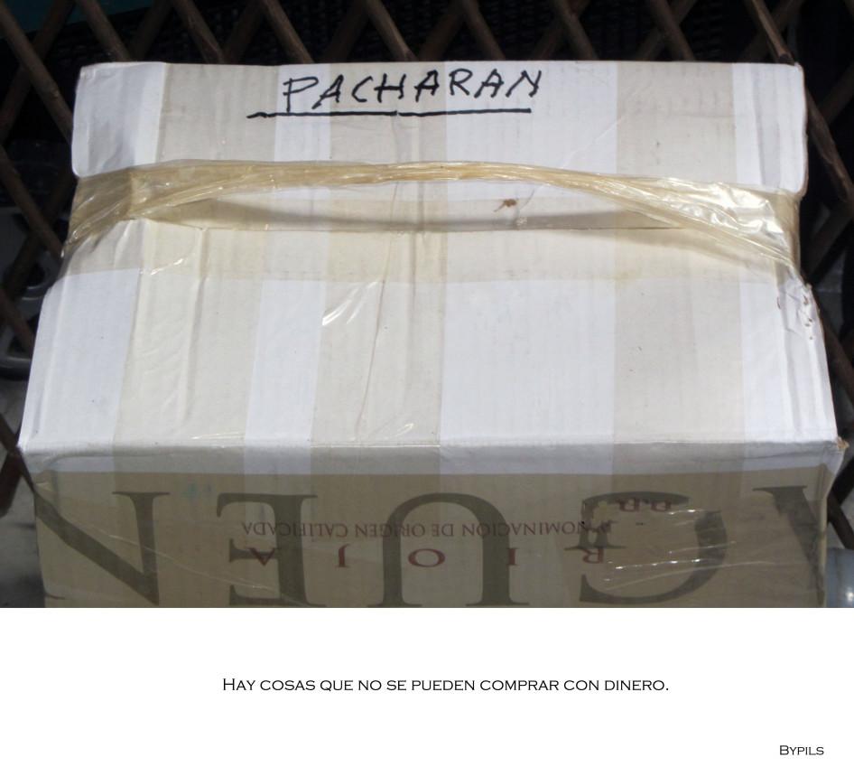 Píldoras (de Otoño) pacharan